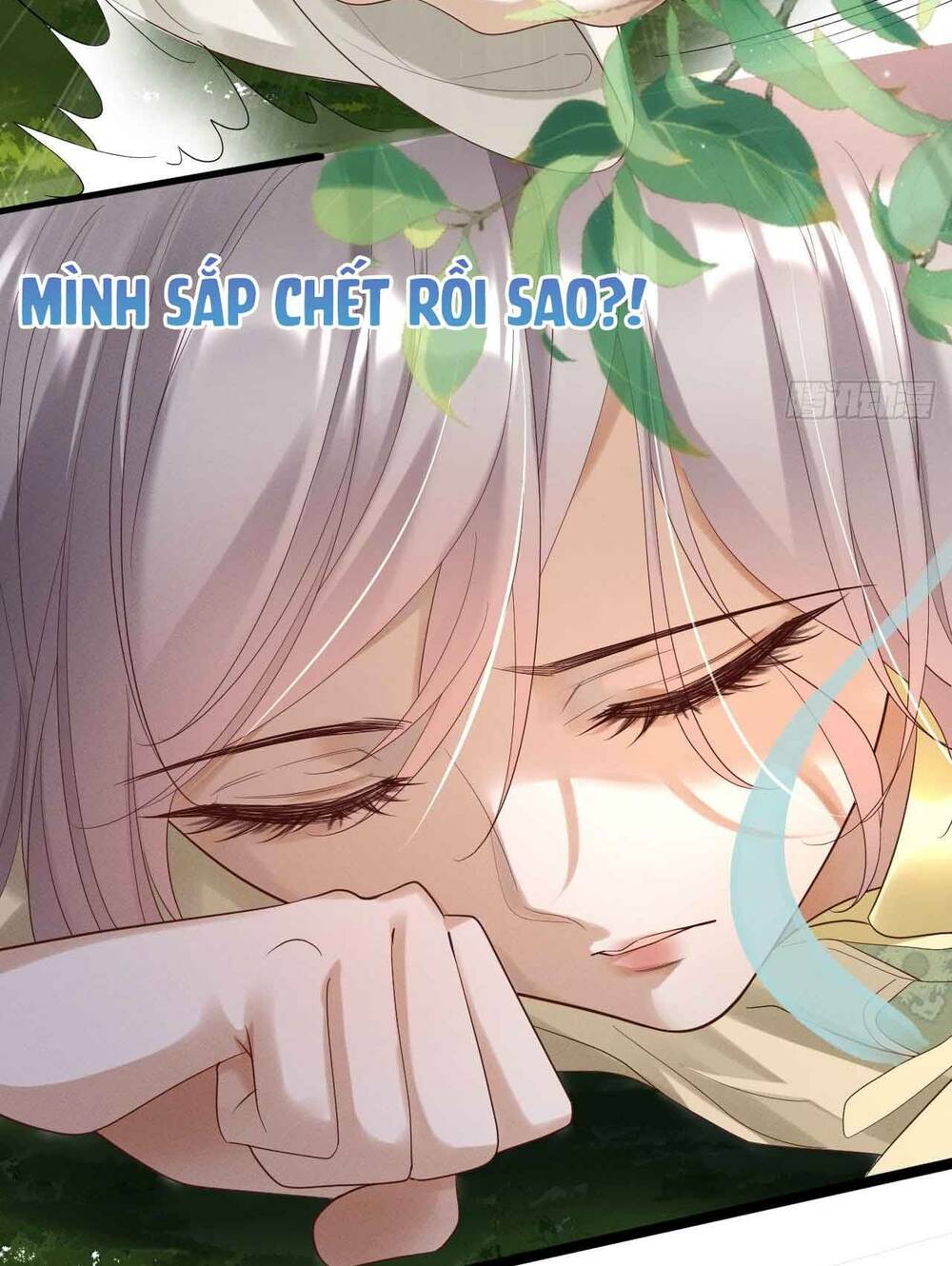 Vương Phi Hắc Hoá Siêu Khó Dỗ Chương 1 Ảnh 47