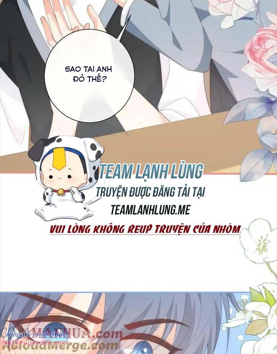 Trọng Sinh Trở Lại Làm Vợ Tổng Tài Chương 113 Ảnh 12