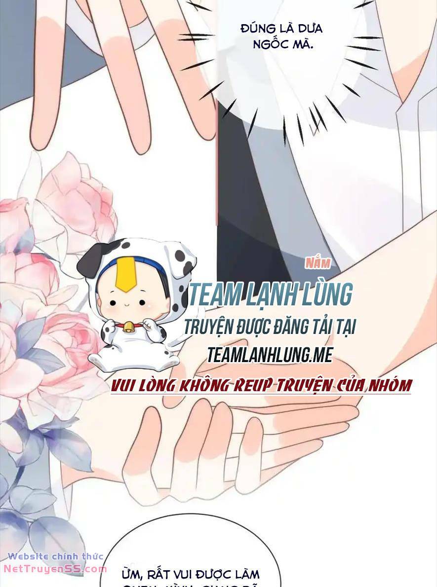 Trọng Sinh Trở Lại Làm Vợ Tổng Tài Chương 133 Ảnh 27