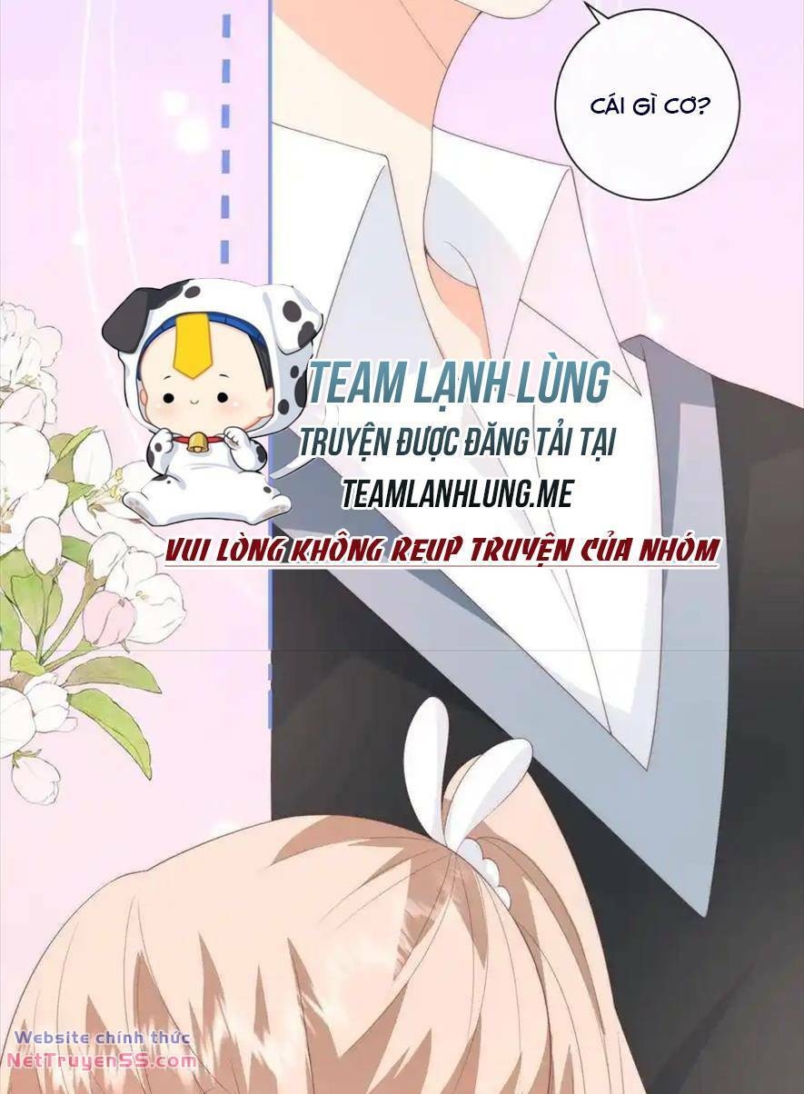 Trọng Sinh Trở Lại Làm Vợ Tổng Tài Chương 126 Ảnh 15