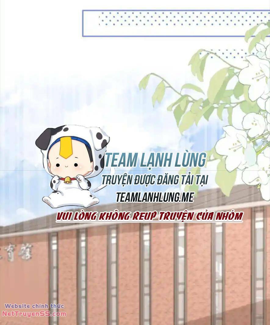 Trọng Sinh Trở Lại Làm Vợ Tổng Tài Chương 126 Ảnh 11