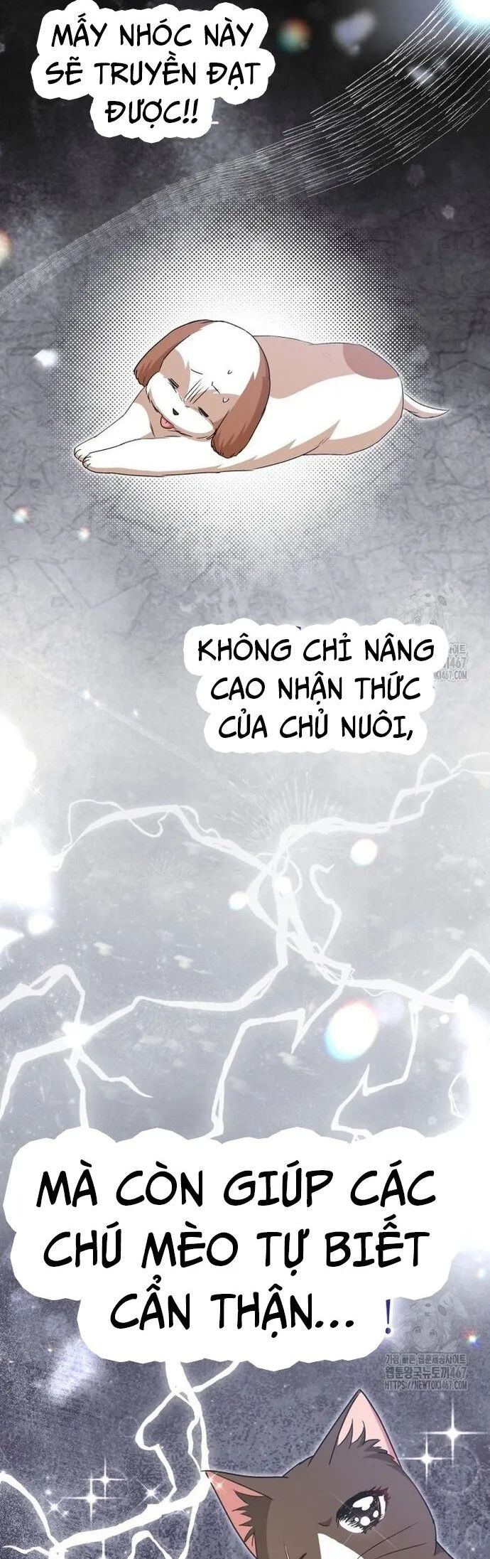 Xin Chào! Bác Sĩ Thú Y Chương 81 Ảnh 45