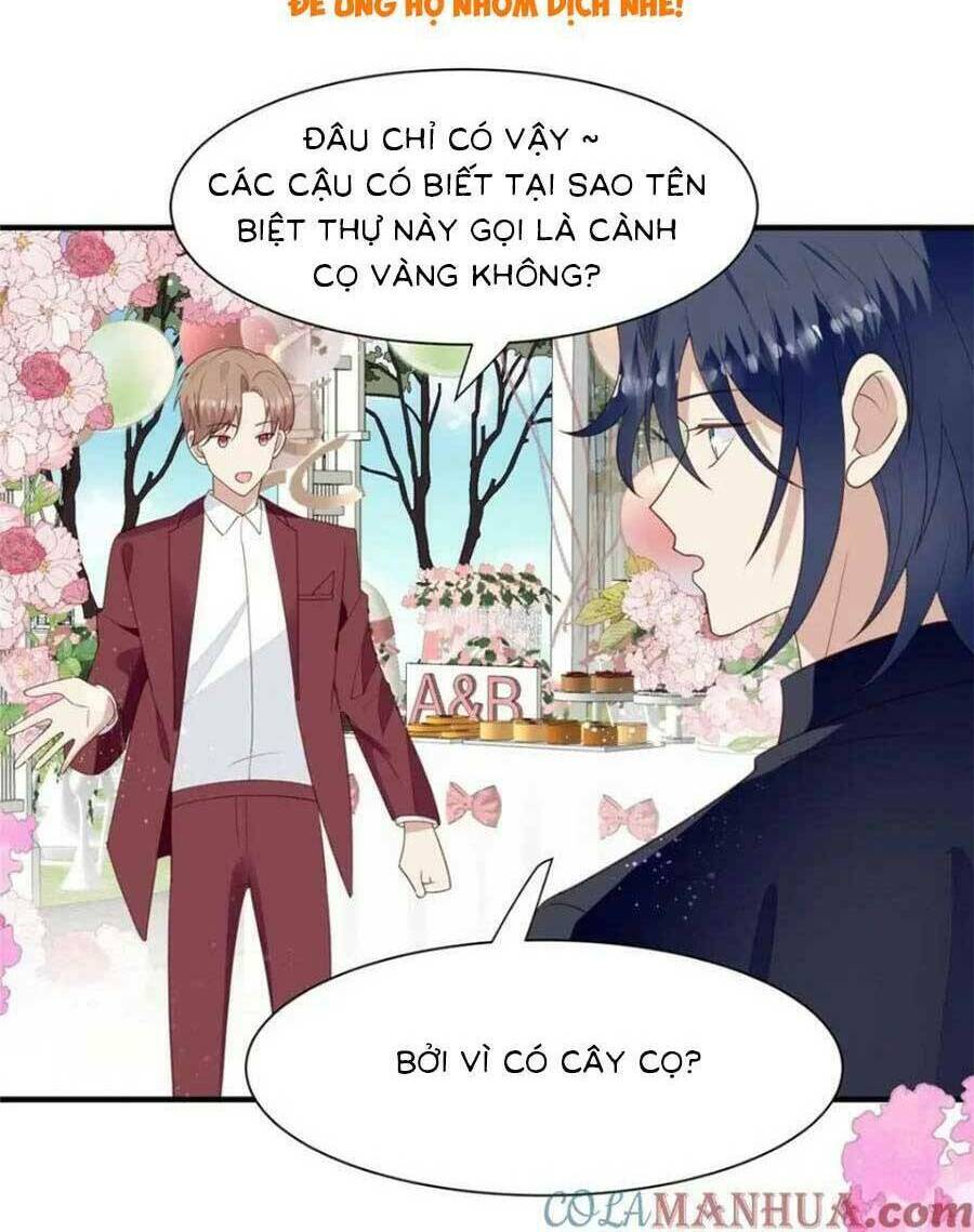 Lưng Dựa Núi Lớn Đứng Vững C Vị Chương 203 Ảnh 7