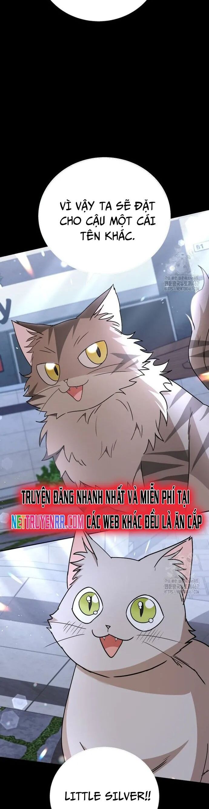 Xin Chào! Bác Sĩ Thú Y Chương 81 Ảnh 7