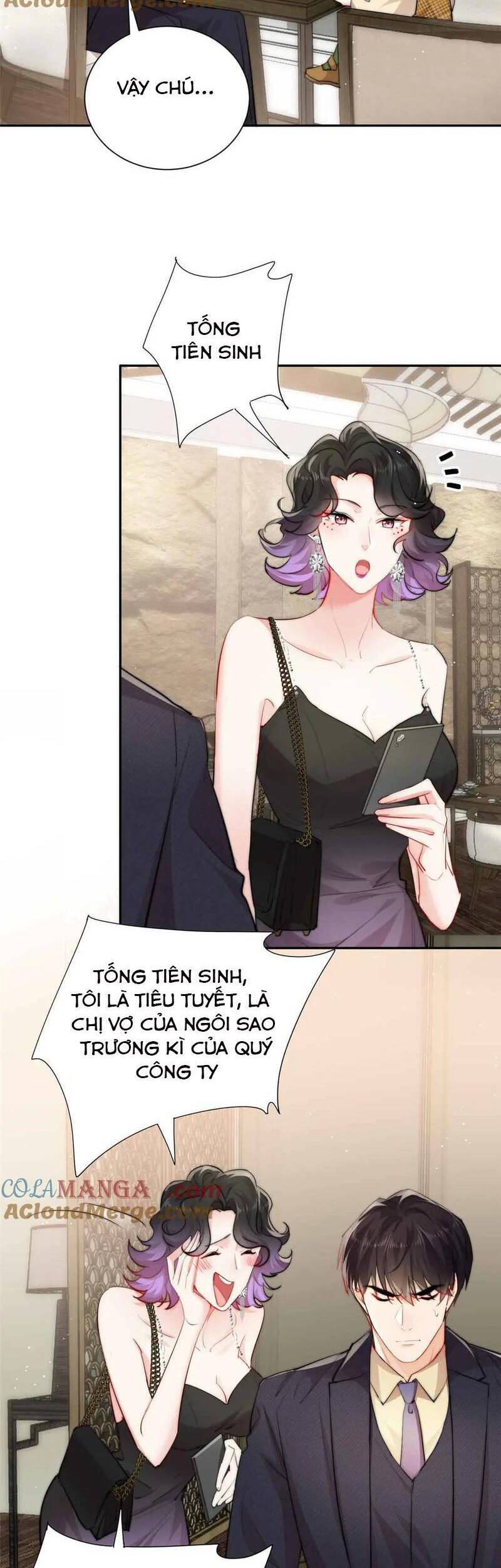 Tiểu Bảo Bối Đặc Biệt Của Tổng Tài Lạnh Lùng Chương 40 Ảnh 15