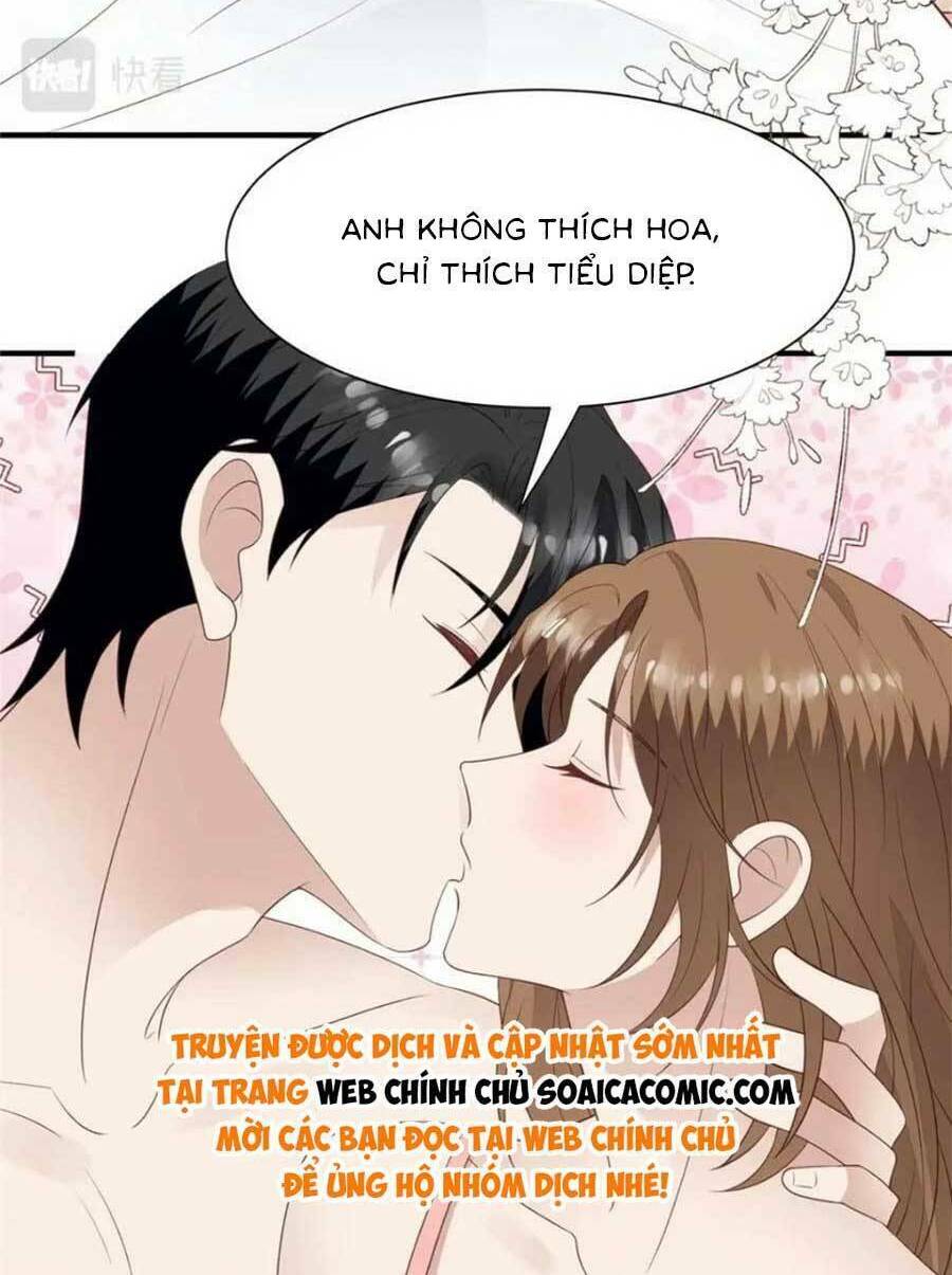 Lưng Dựa Núi Lớn Đứng Vững C Vị Chương 203 Ảnh 29
