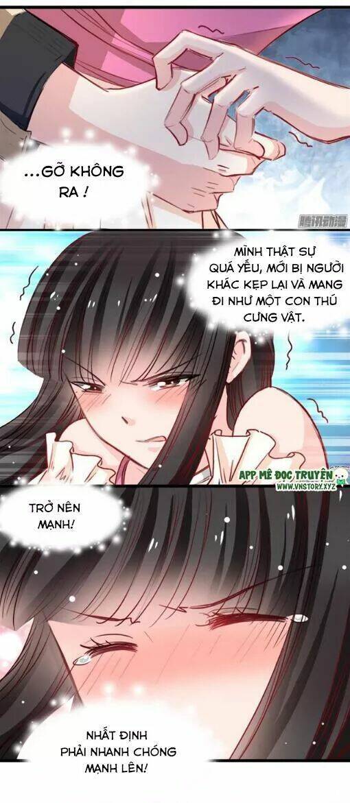 Thú Vương Chuyên Sủng Chương 32 Ảnh 5