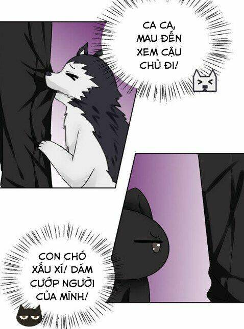 Tổng Tài Ma Cà Rồng Tha Cho Tôi Chương 34 Ảnh 6
