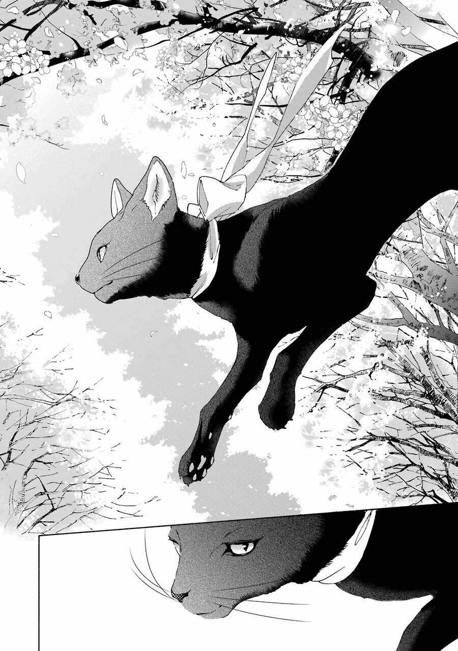 Bạn Cùng Lớp Của Shiraishi-Kun Chương 1 Ảnh 29