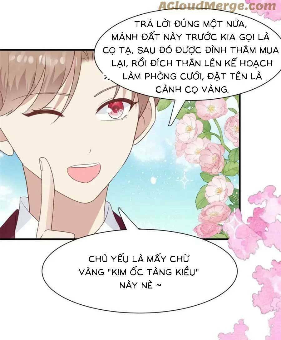 Lưng Dựa Núi Lớn Đứng Vững C Vị Chương 203 Ảnh 8
