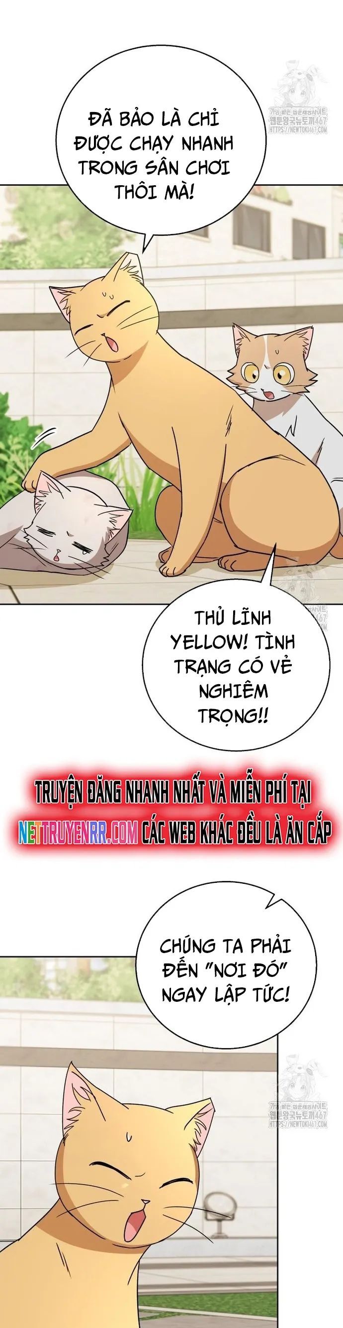 Xin Chào! Bác Sĩ Thú Y Chương 81 Ảnh 14