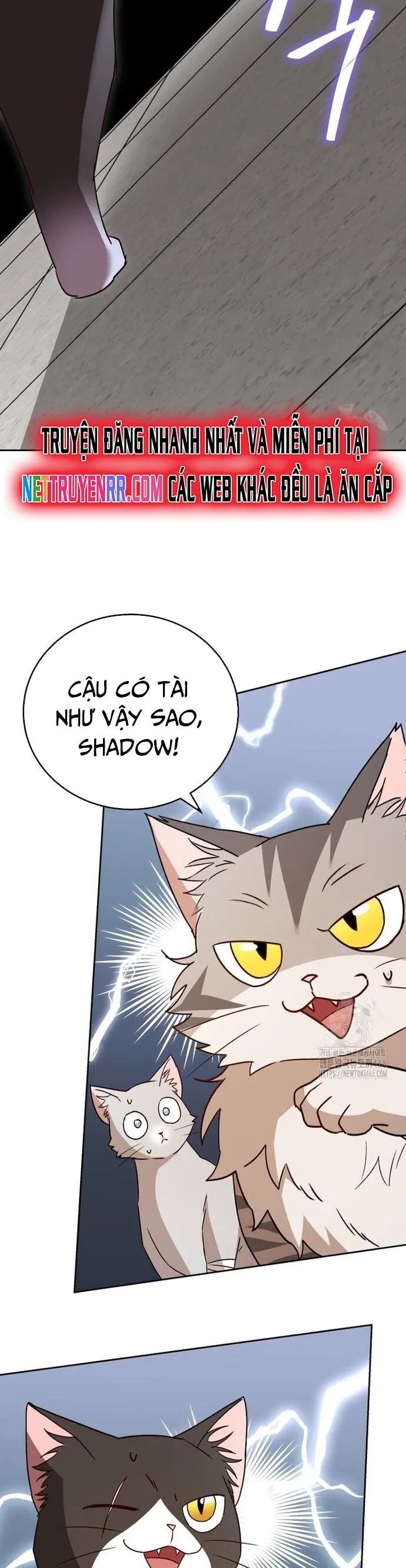 Xin Chào! Bác Sĩ Thú Y Chương 80 Ảnh 40