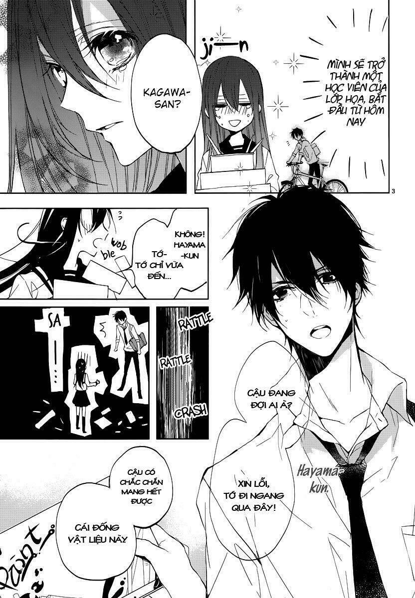 Hatsukoi Canvas Chương 1 Ảnh 5