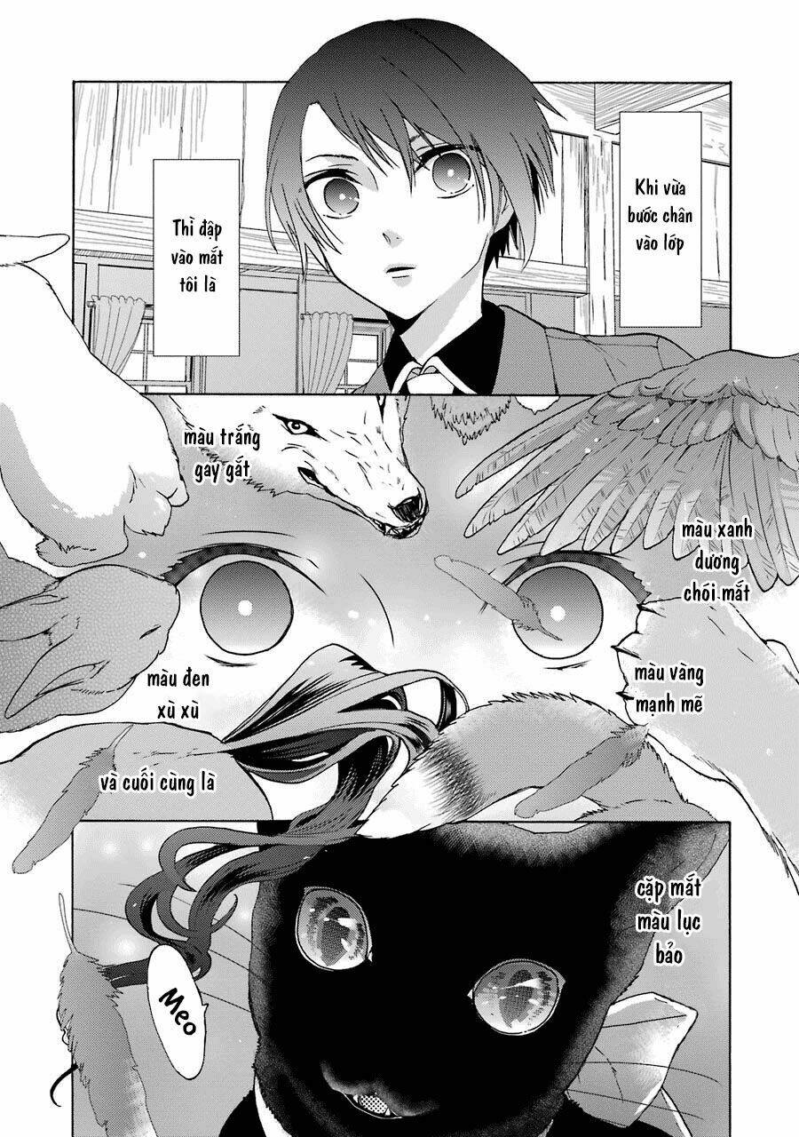 Bạn Cùng Lớp Của Shiraishi-Kun Chương 2 Ảnh 3