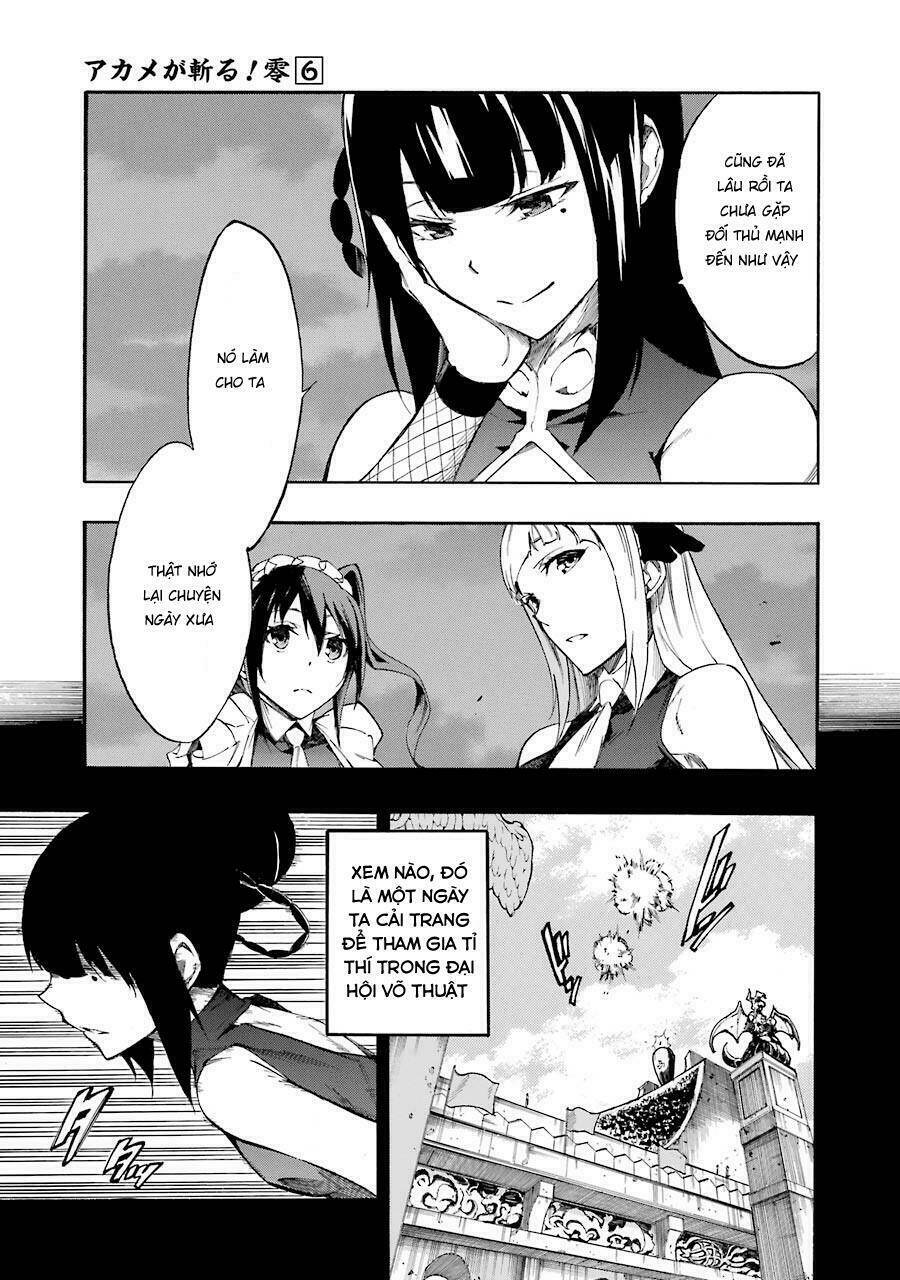 Akame Ga Kill! Zero Chương 33 Ảnh 5