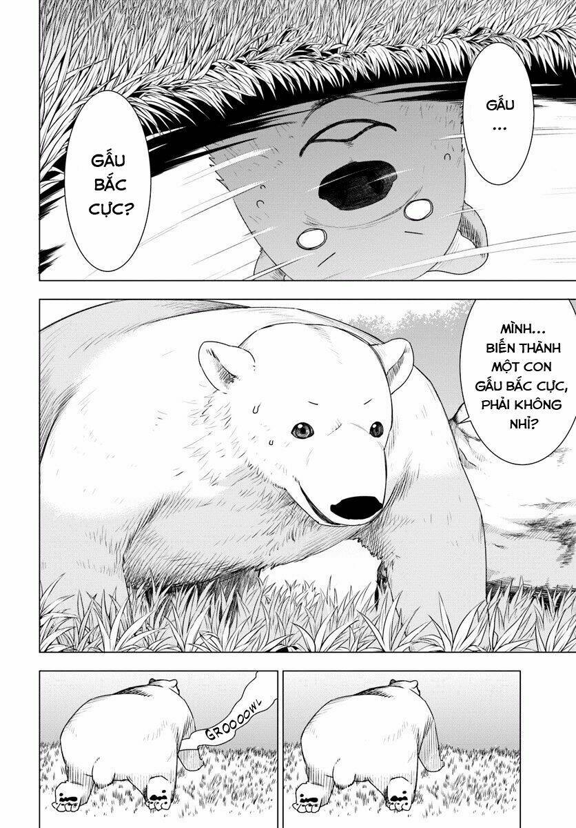 Shirokuma Tensei Chương 1 Ảnh 25
