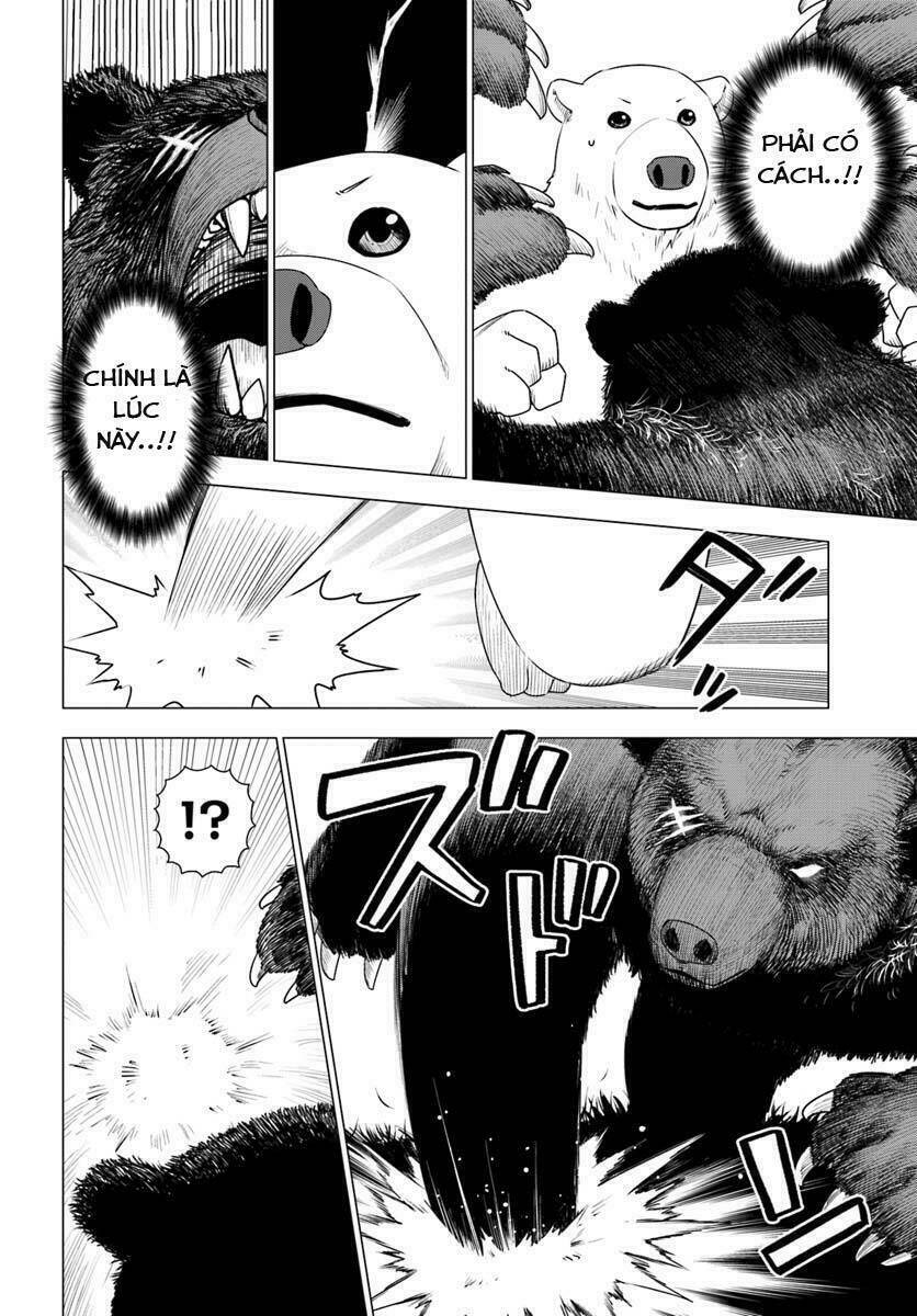 Shirokuma Tensei Chương 6 Ảnh 7