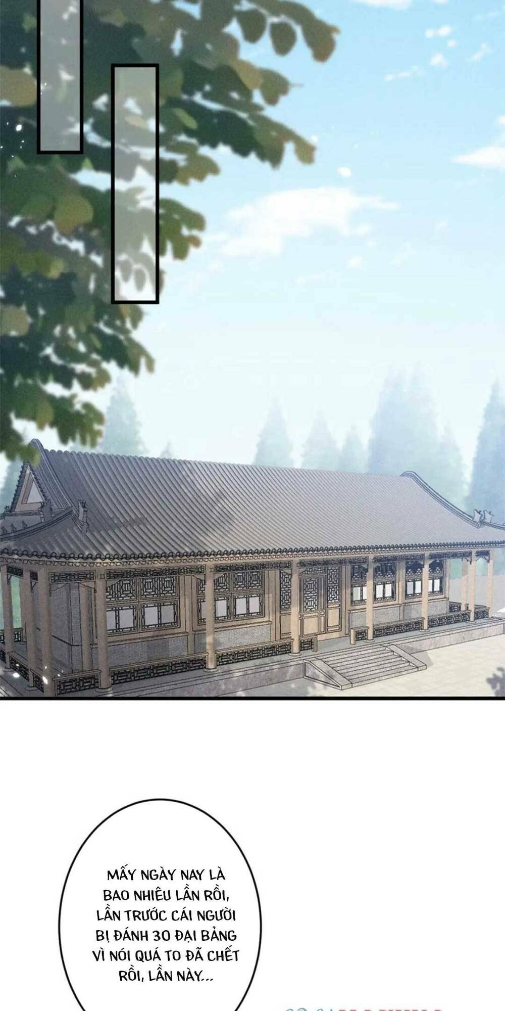 Tái Sinh Trở Lại : Ta Trở Thành Độc Y Thái Tử Phi Chương 52 Ảnh 17