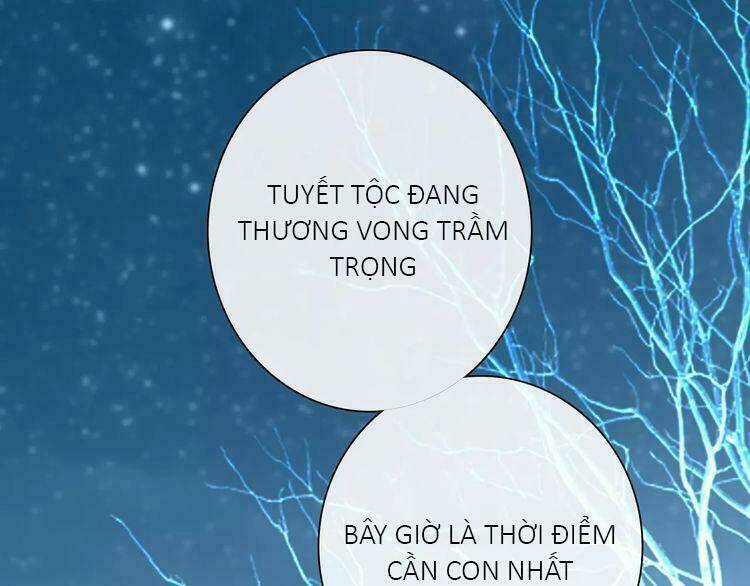 Trái Tim Băng Giá Chương 36 Ảnh 44