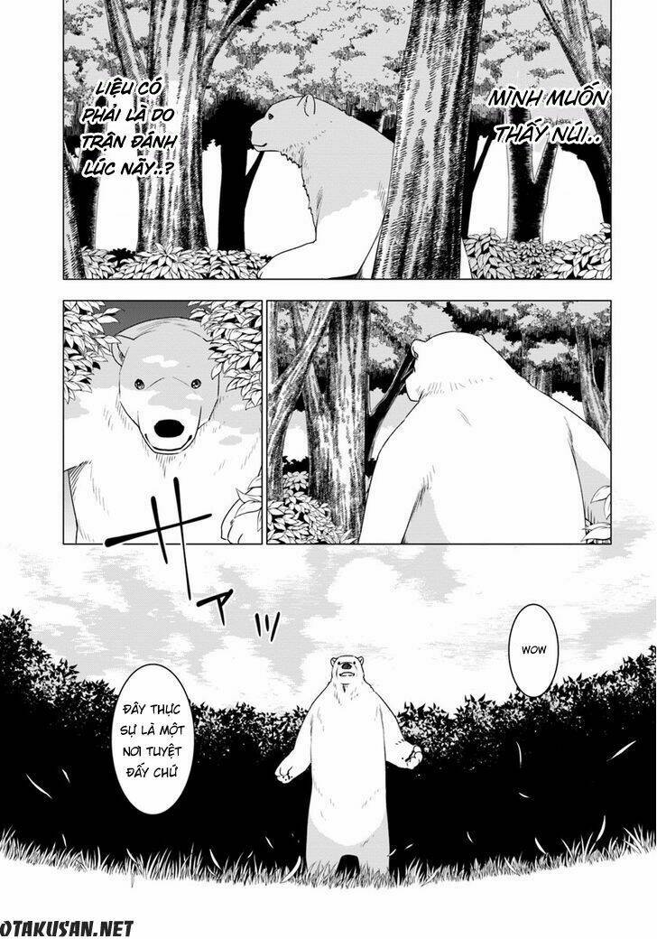 Shirokuma Tensei Chương 2 Ảnh 12