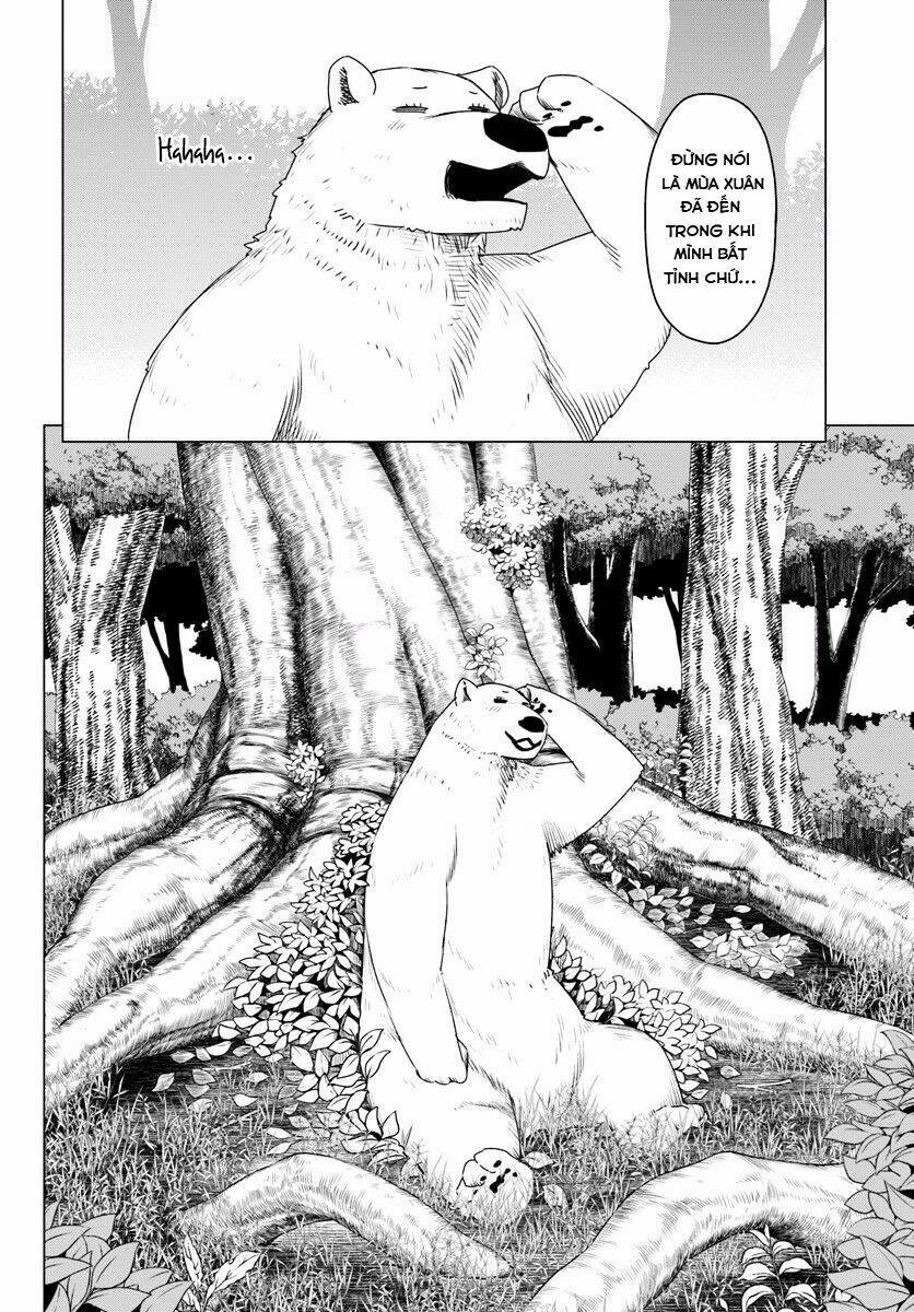 Shirokuma Tensei Chương 1 Ảnh 23