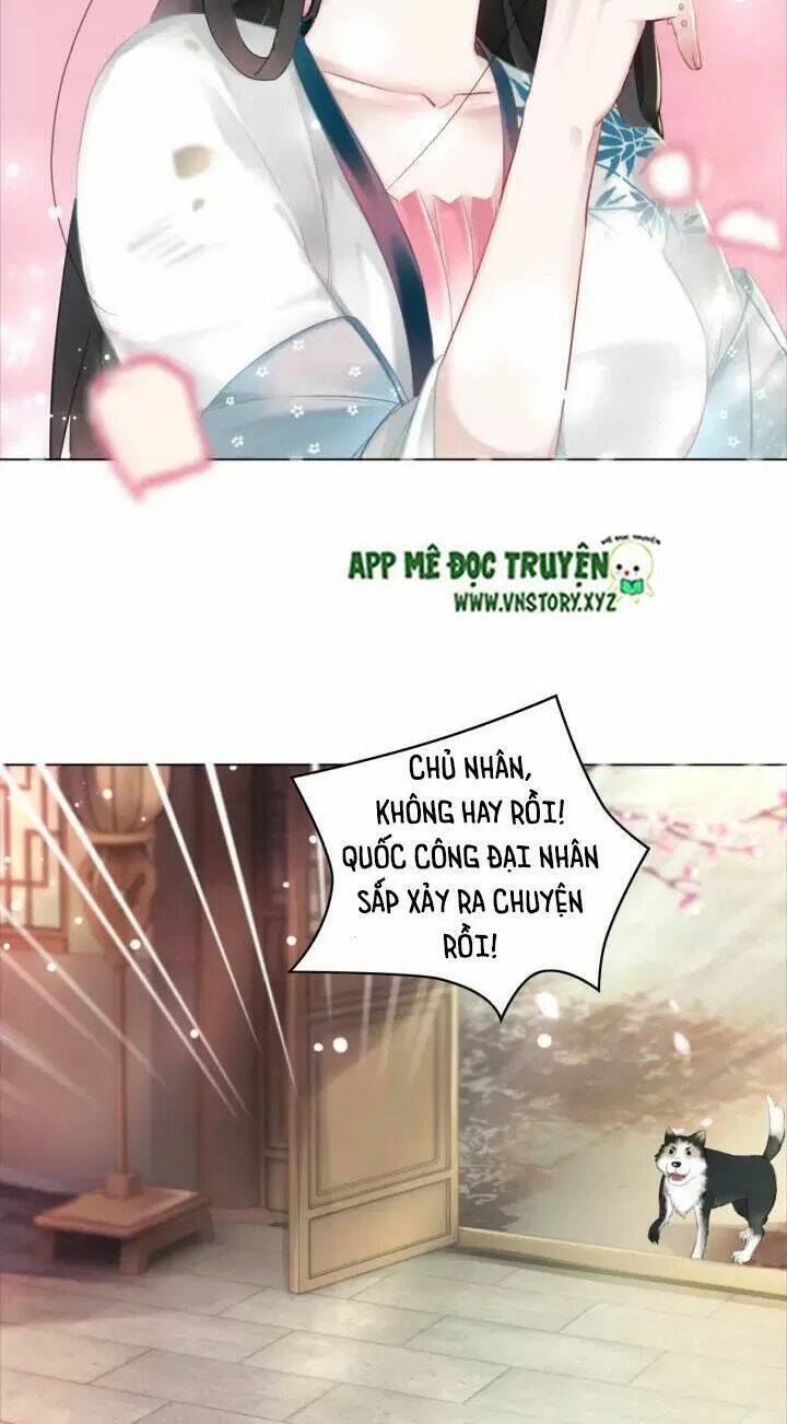 Cực Phẩm Phế Vật Tiểu Thư Chương 114 Ảnh 16