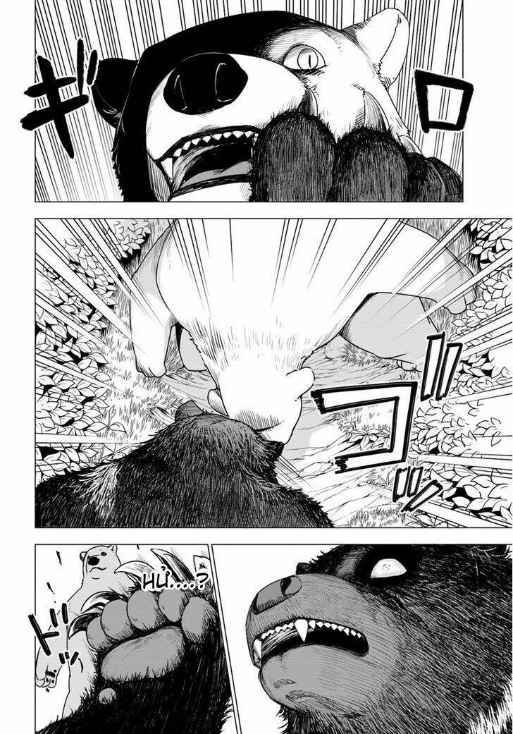 Shirokuma Tensei Chương 2 Ảnh 7