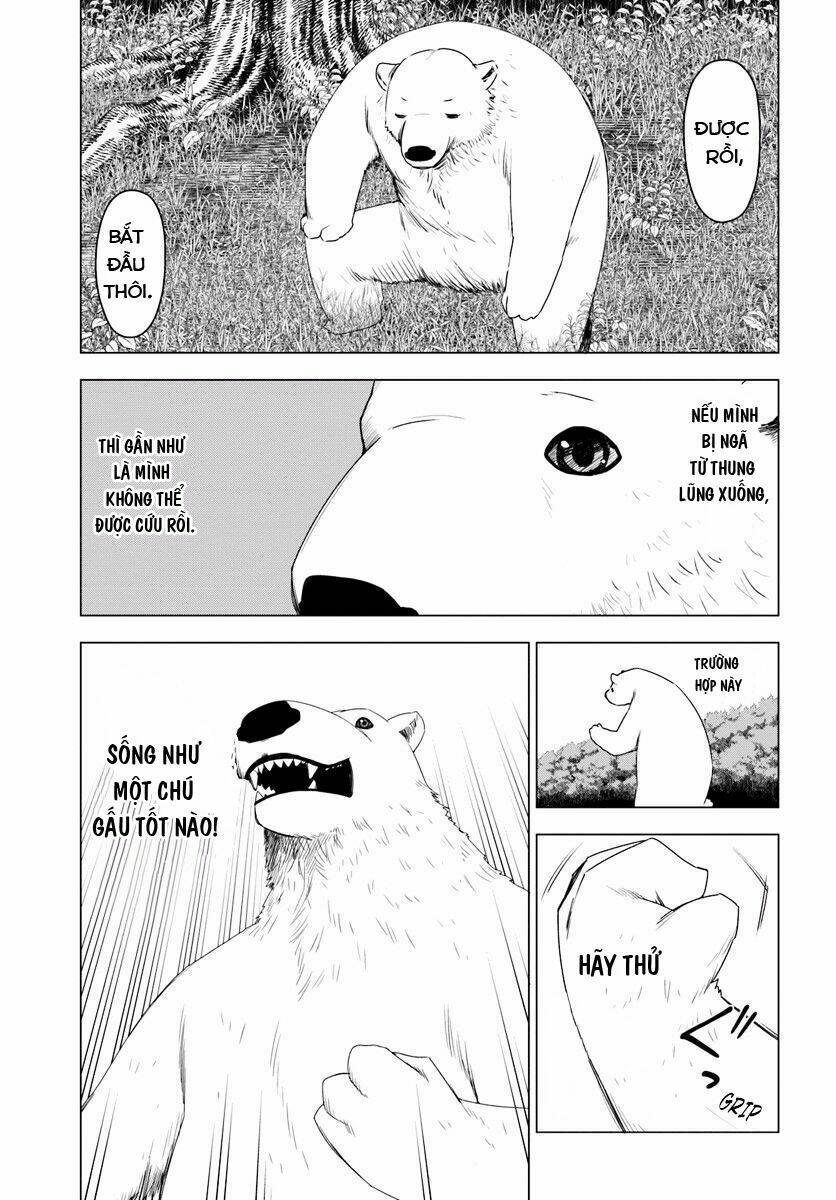 Shirokuma Tensei Chương 1 Ảnh 26
