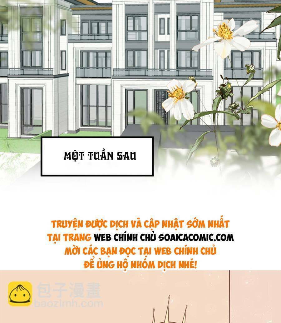 Lưng Dựa Núi Lớn Đứng Vững C Vị Chương 200 Ảnh 28