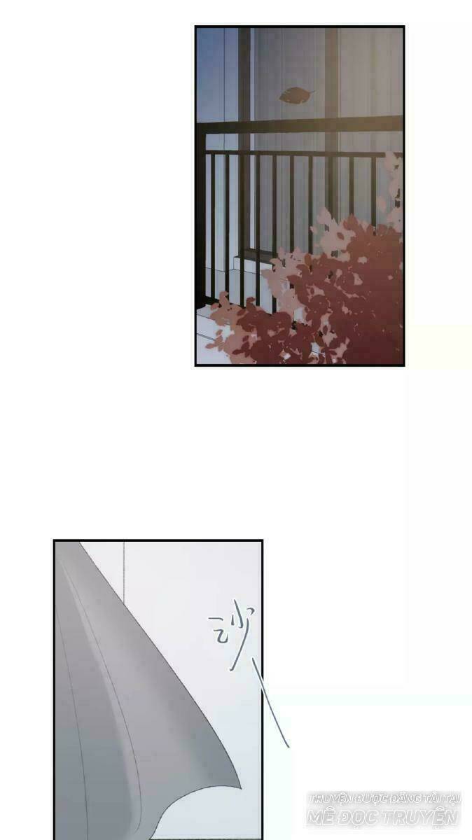 Từ Cái Nhìn Của Em Chương 37 Ảnh 37