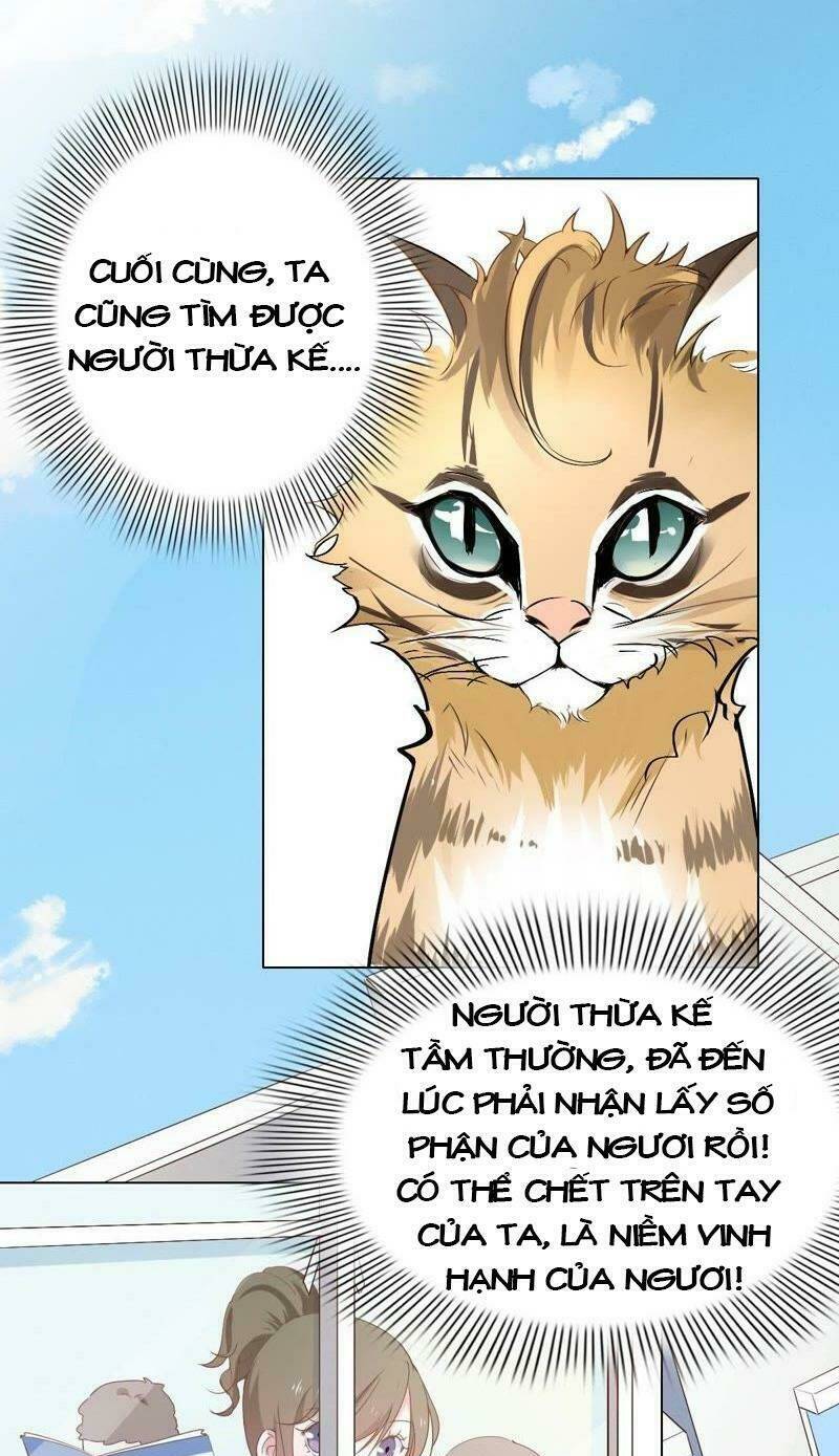 Thập Nhị Hắc Miêu Chương 1 Ảnh 13