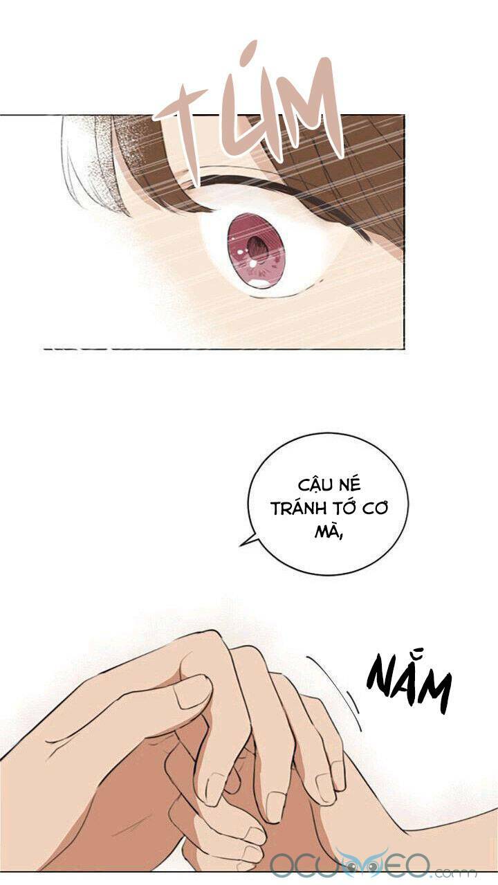 Tình Yêu Tuổi Trẻ Chương 41 Ảnh 21