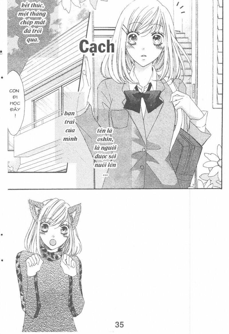 Boku Wa Ookami Chương 15 Ảnh 3