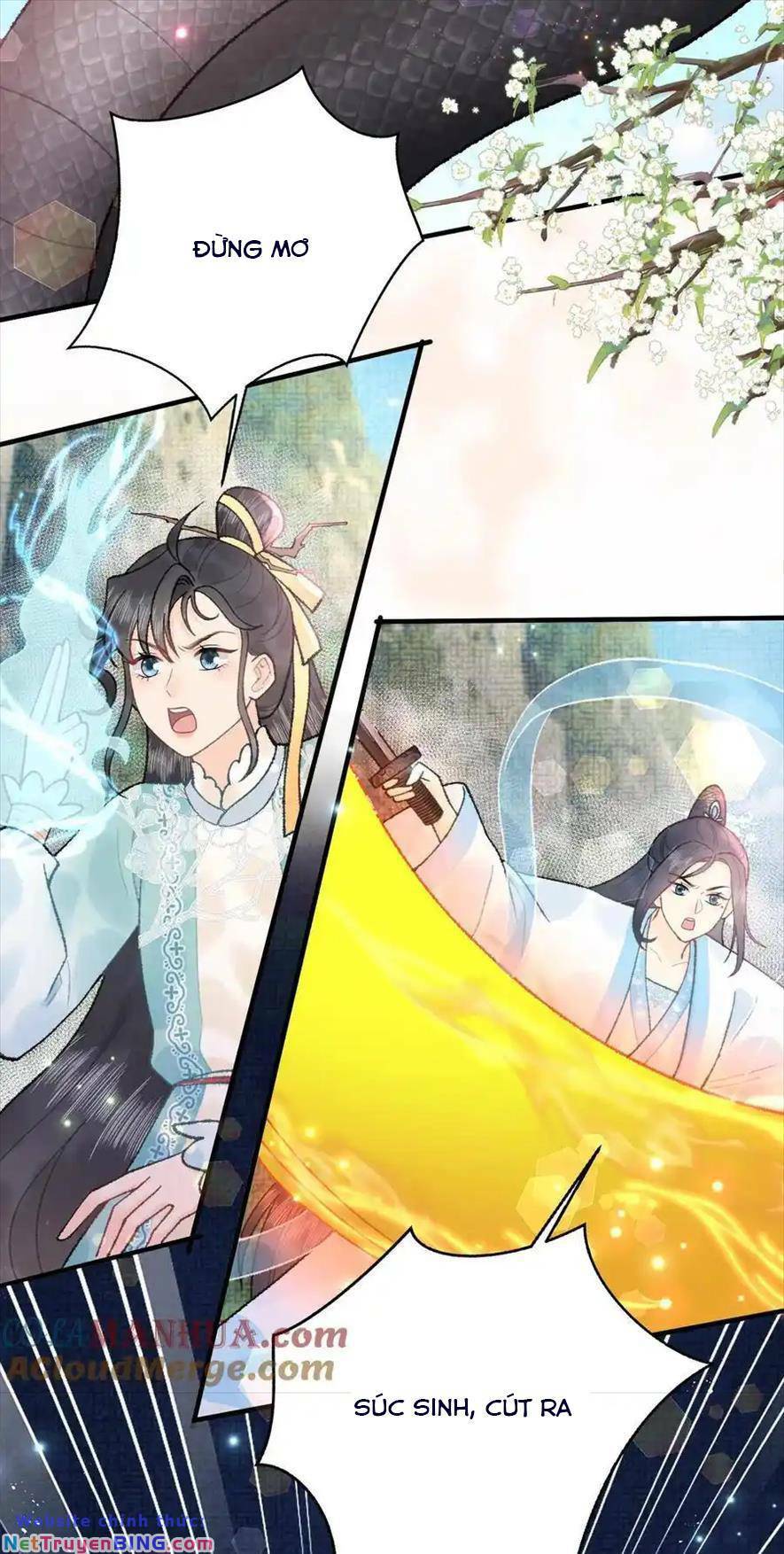 Toàn Tông Môn Đều Là Kẻ Si Tình, Chỉ Có Ta Là Tỉnh Táo Chương 162 Ảnh 24