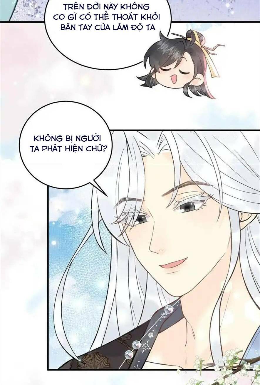 Toàn Tông Môn Đều Là Kẻ Si Tình, Chỉ Có Ta Là Tỉnh Táo Chương 164 Ảnh 10