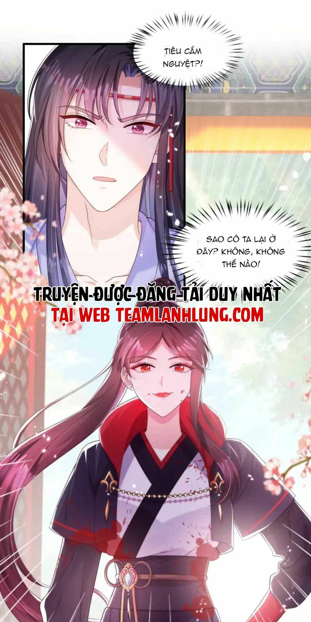 Ta Live Stream Ngược Đãi Nam Chính Chương 9 Ảnh 4
