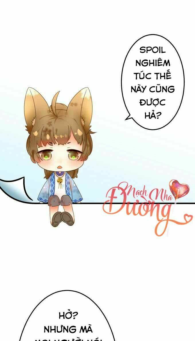 Đêm Tuyết Nghe Thấy Anh Đào Rơi Chương 0 Ảnh 27