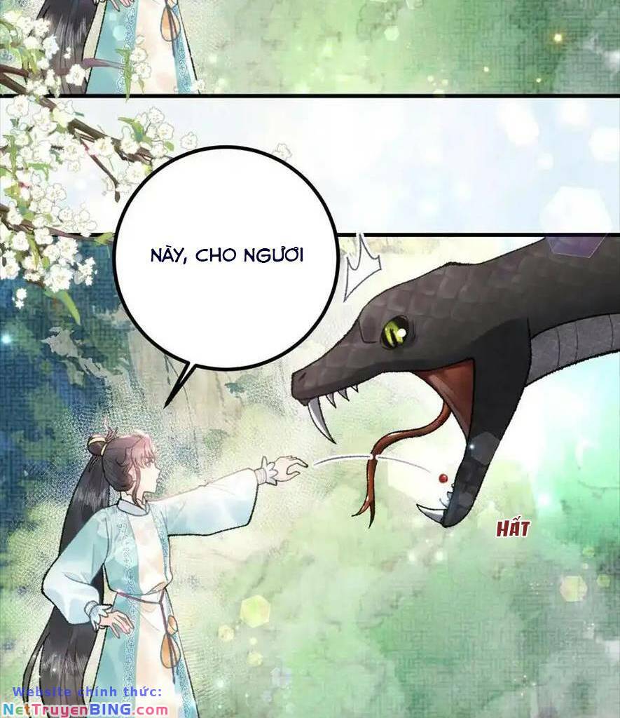 Toàn Tông Môn Đều Là Kẻ Si Tình, Chỉ Có Ta Là Tỉnh Táo Chương 162 Ảnh 28