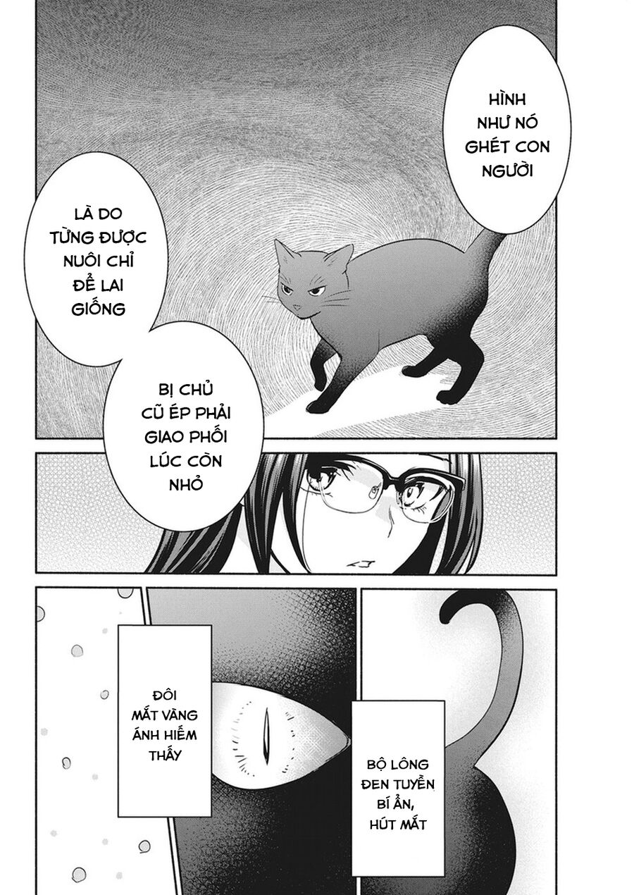 Majo Wa Mioji Kara Chương 18 Ảnh 14