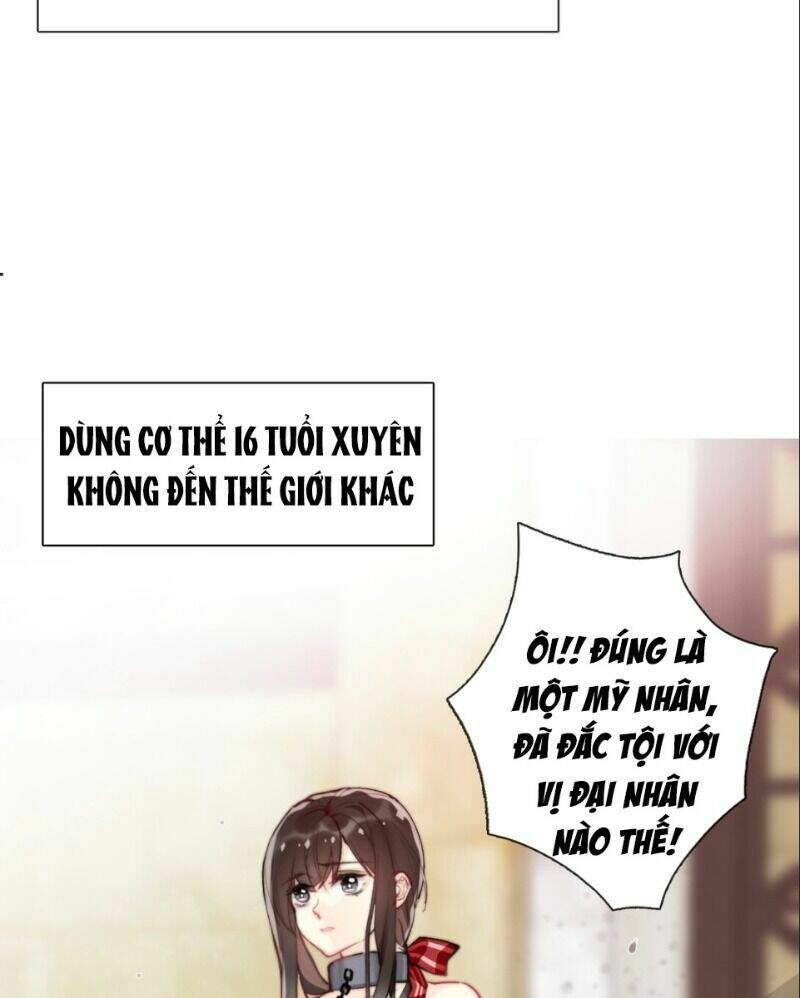 Tôi Bị Ép Trở Thành Vương Phi Khi Xuyên Tới Thế Giới Khác Chương 1 Ảnh 80