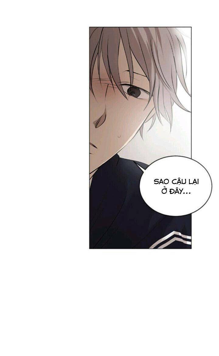 Tình Yêu Tuổi Trẻ Chương 47 Ảnh 5