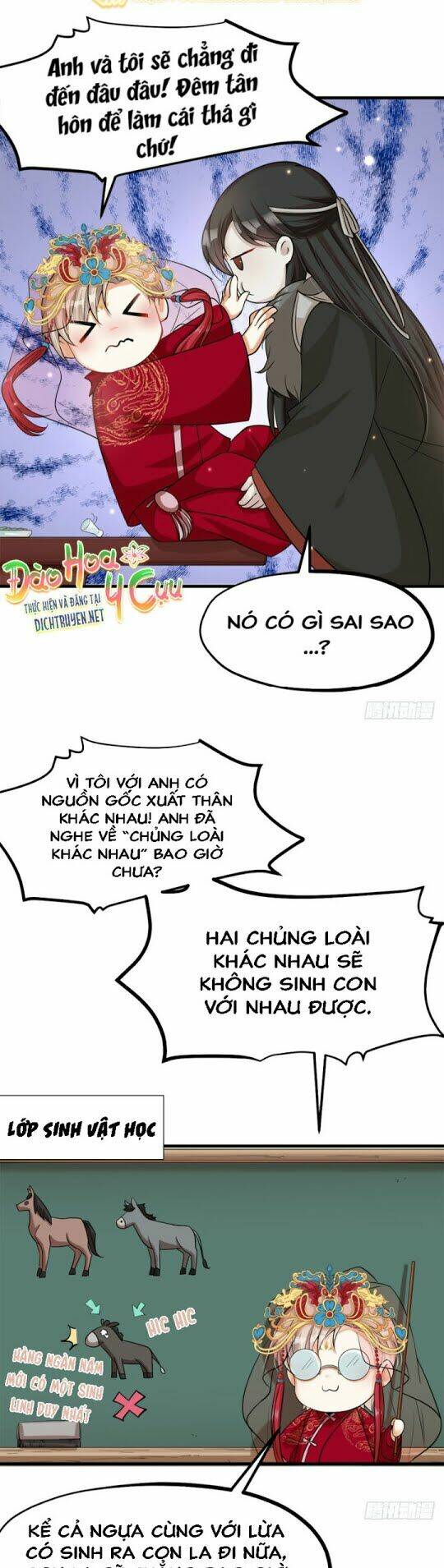 Phu Phu Khuynh Thành Chương 3 Ảnh 3