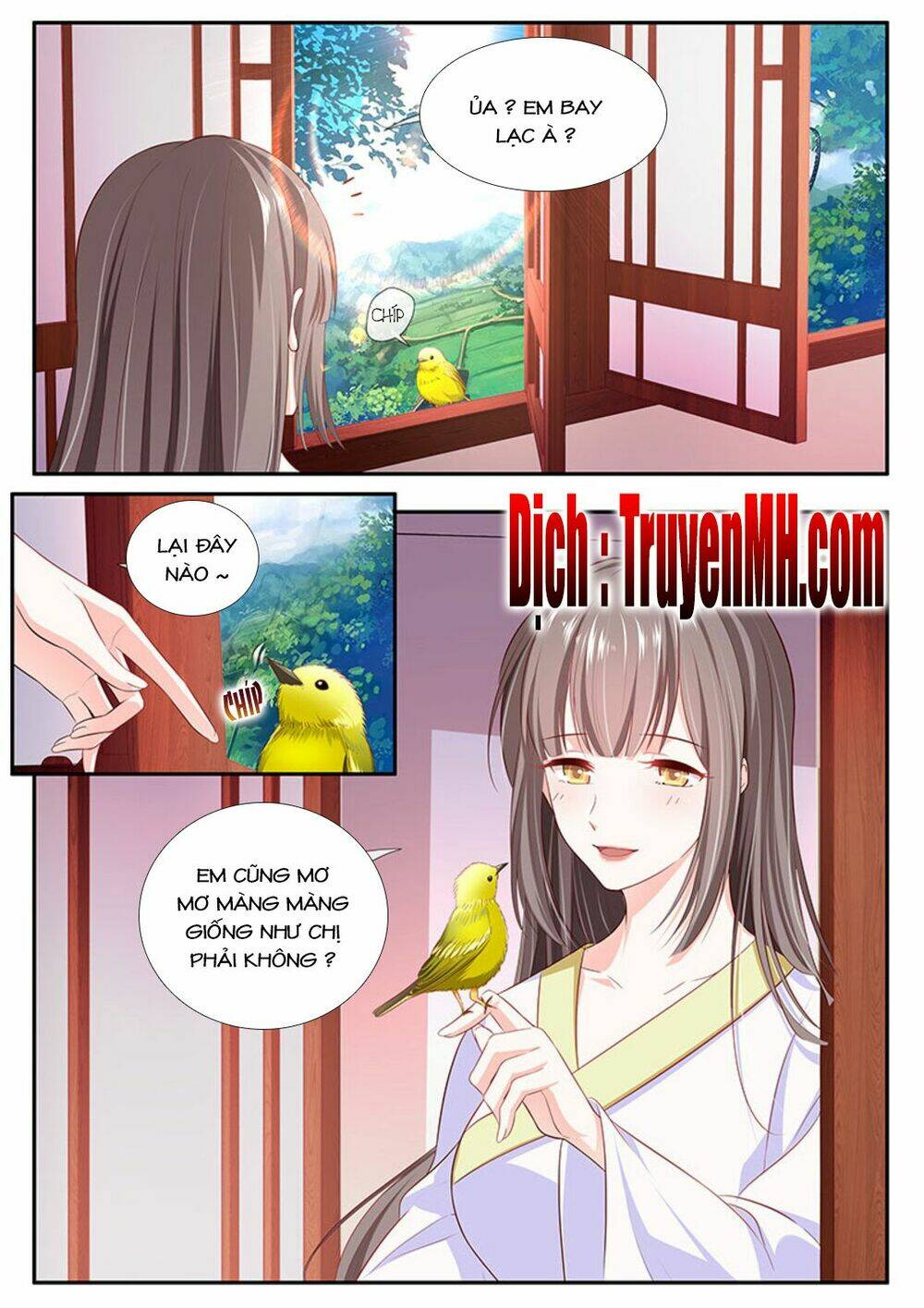 Thái Tử Phi Ở Hiện Đại Chương 84 Ảnh 6