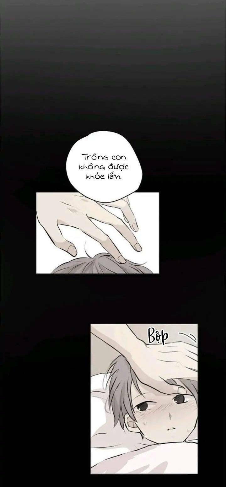 Tình Yêu Tuổi Trẻ Chương 48 Ảnh 19