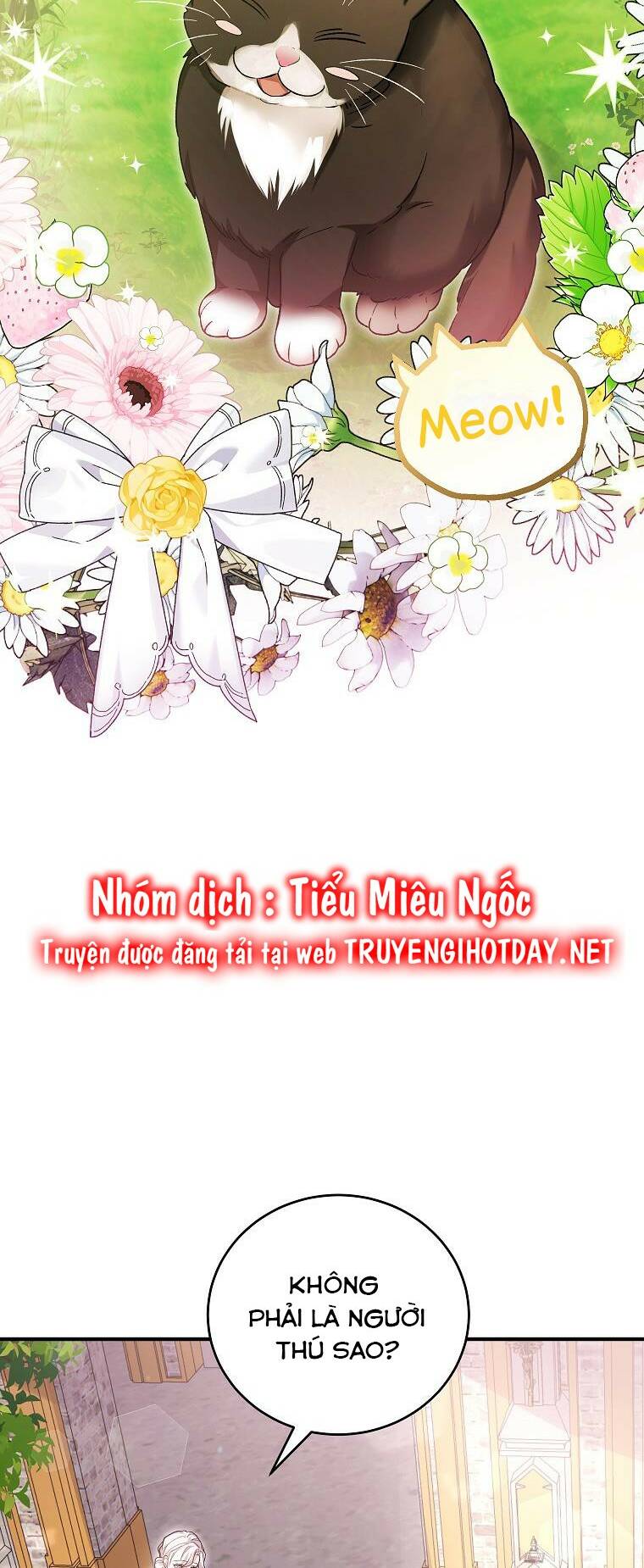 Nữ Chính Muốn Tôi Trở Thành Chị Dâu Của Cô Ấy Chương 39 Ảnh 53