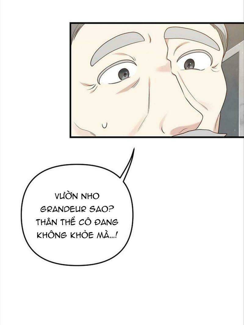 Hôn Phu Của Tôi Là Nam Chính Yandere Chương 11 Ảnh 60