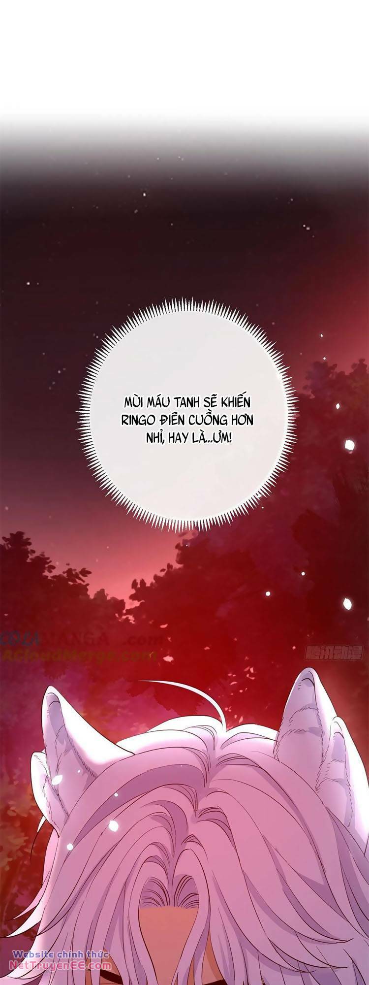Trăng Tròn Chia Hoan Chương 20 Ảnh 23