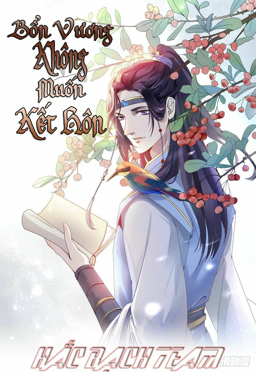 Bổn Vương Không Muốn Kết Hôn Chương 3 Ảnh 2
