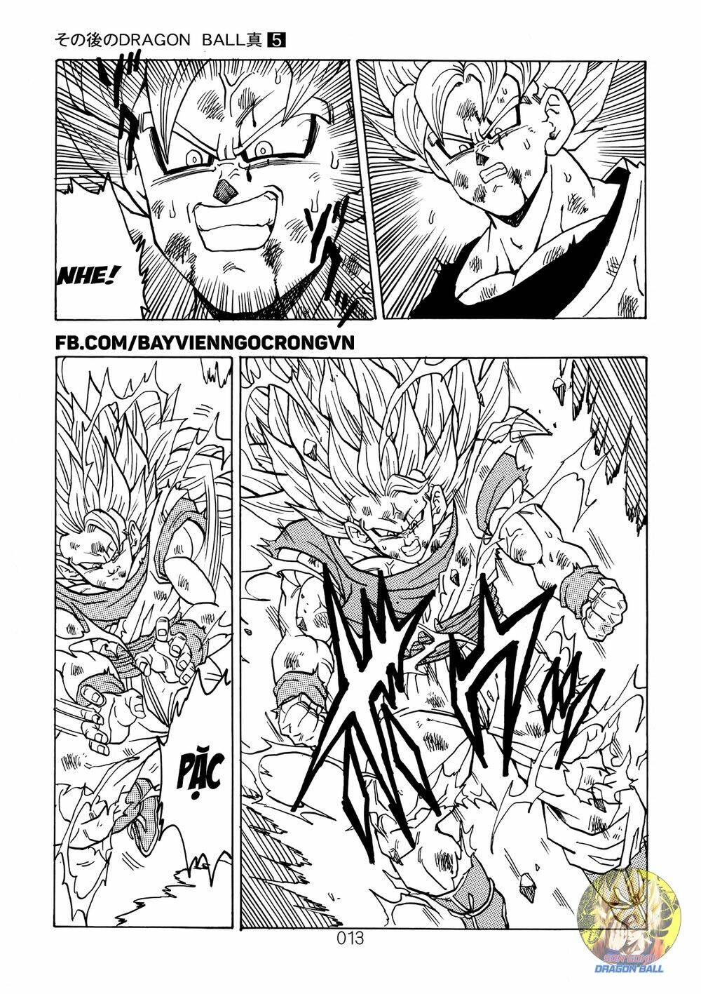 Dragon Ball After Chương 13 Ảnh 15