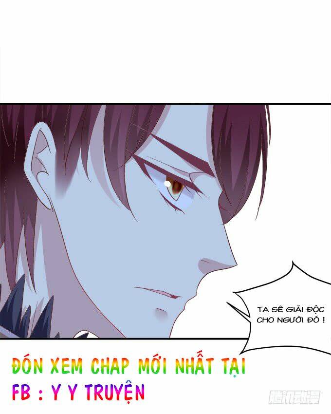 Dụ Hoặc Miêu Yêu Chương 205 Ảnh 40